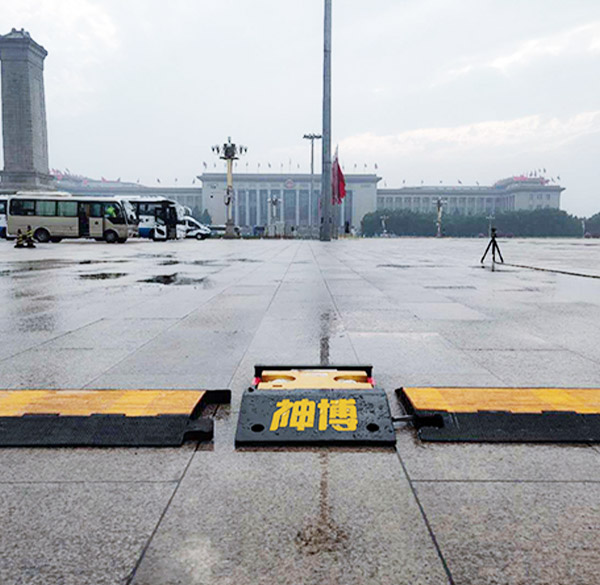 Shandong Seenboom