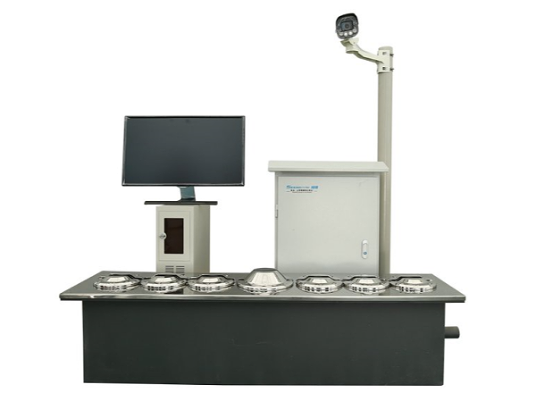 Multi-lens Undercarriage Scanning System